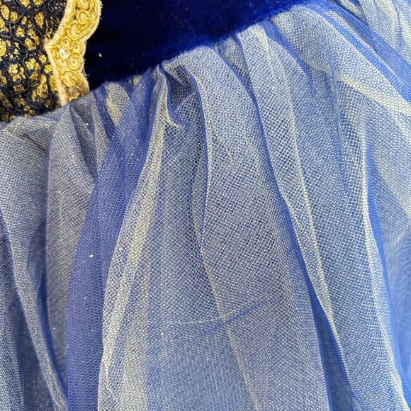 Classical Ballet Tutu Child XL Royal Blue Gold Trim Elegant Revolution Dancewear - Picture 12 of 16
